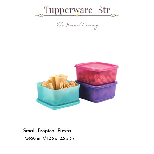 Tupperware/Small Tropical Fiesta/Tempat Penyimpanan Makanan/Toples Tupperware/Toples Set/Toples
