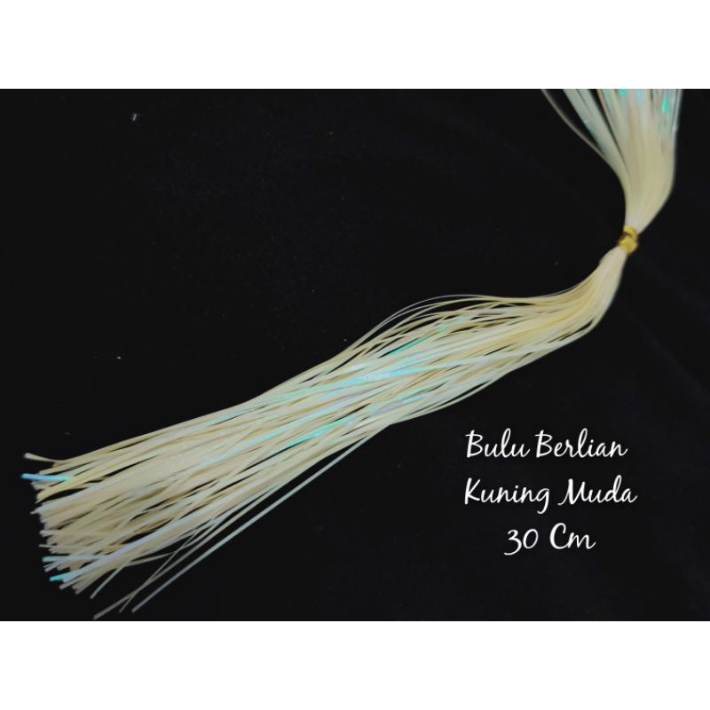 BULU BERLIAN / UMPAN BULU BERLIAN IMPORT