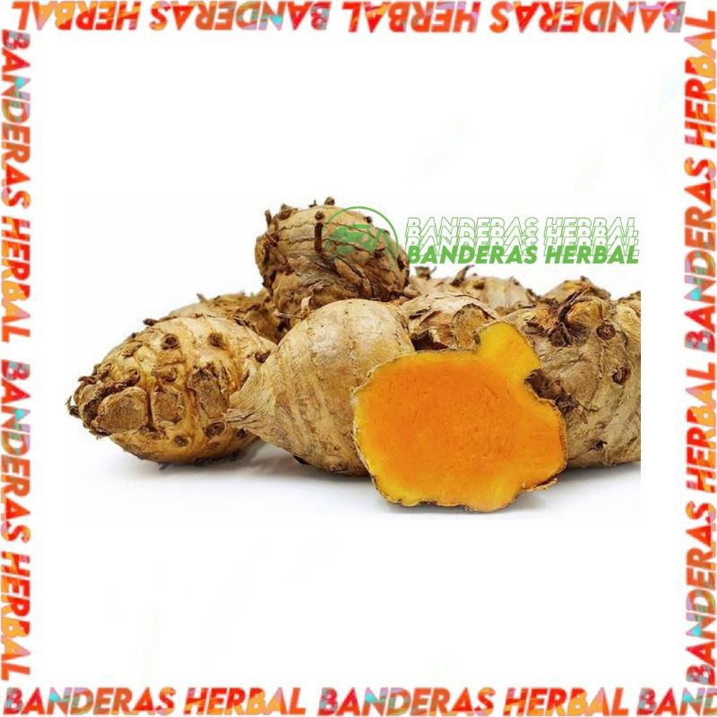 

(FRESH 500gr) Temulawak Segar Wonogiri banderasherbal