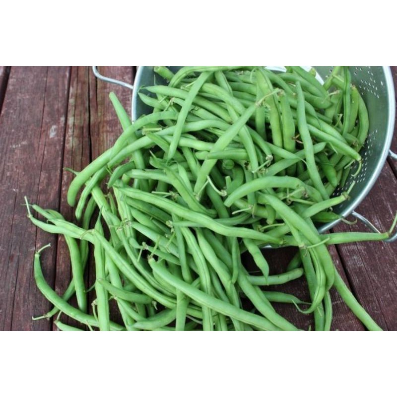 

Buncis Segar 200gr // sayur segar bogor