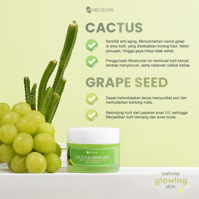 MS Glow - Moisturizer Cactus Original