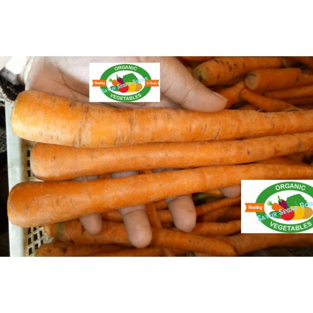 

Wortel fress / 1 Kg