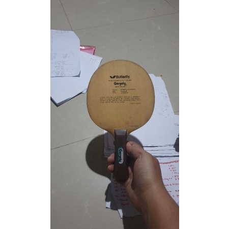 bat butterfly gergely