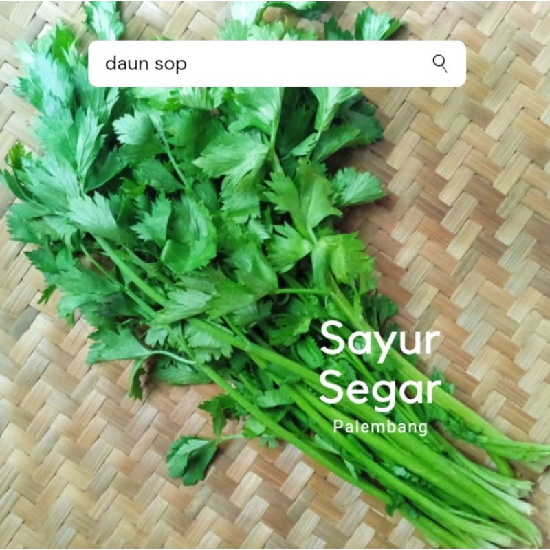 

Daun Sop per 100 Gr Sayur Segar Palembang