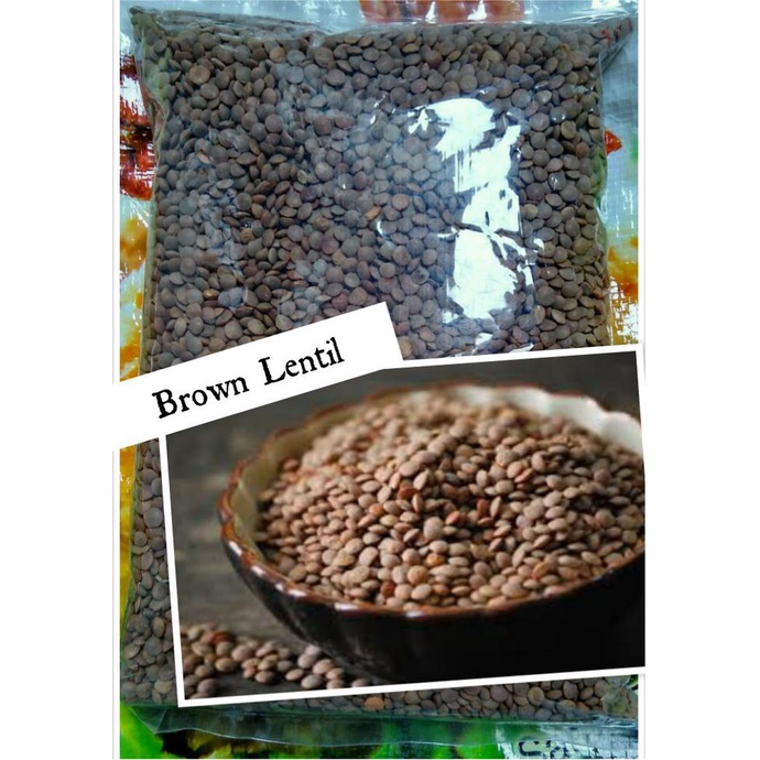 

Brown Lentil - Lentil Coklat