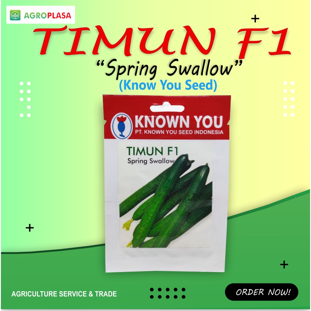 Benih Timun Spring Swallow KYS Known You Seed