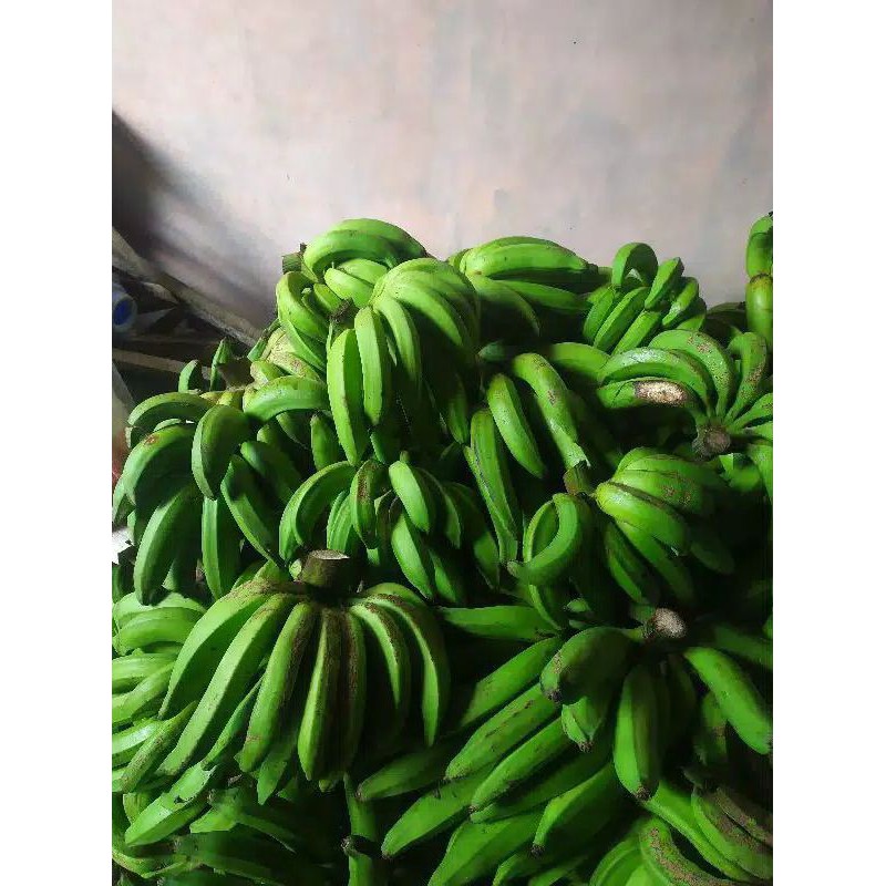 

pisang nangka persisir segar