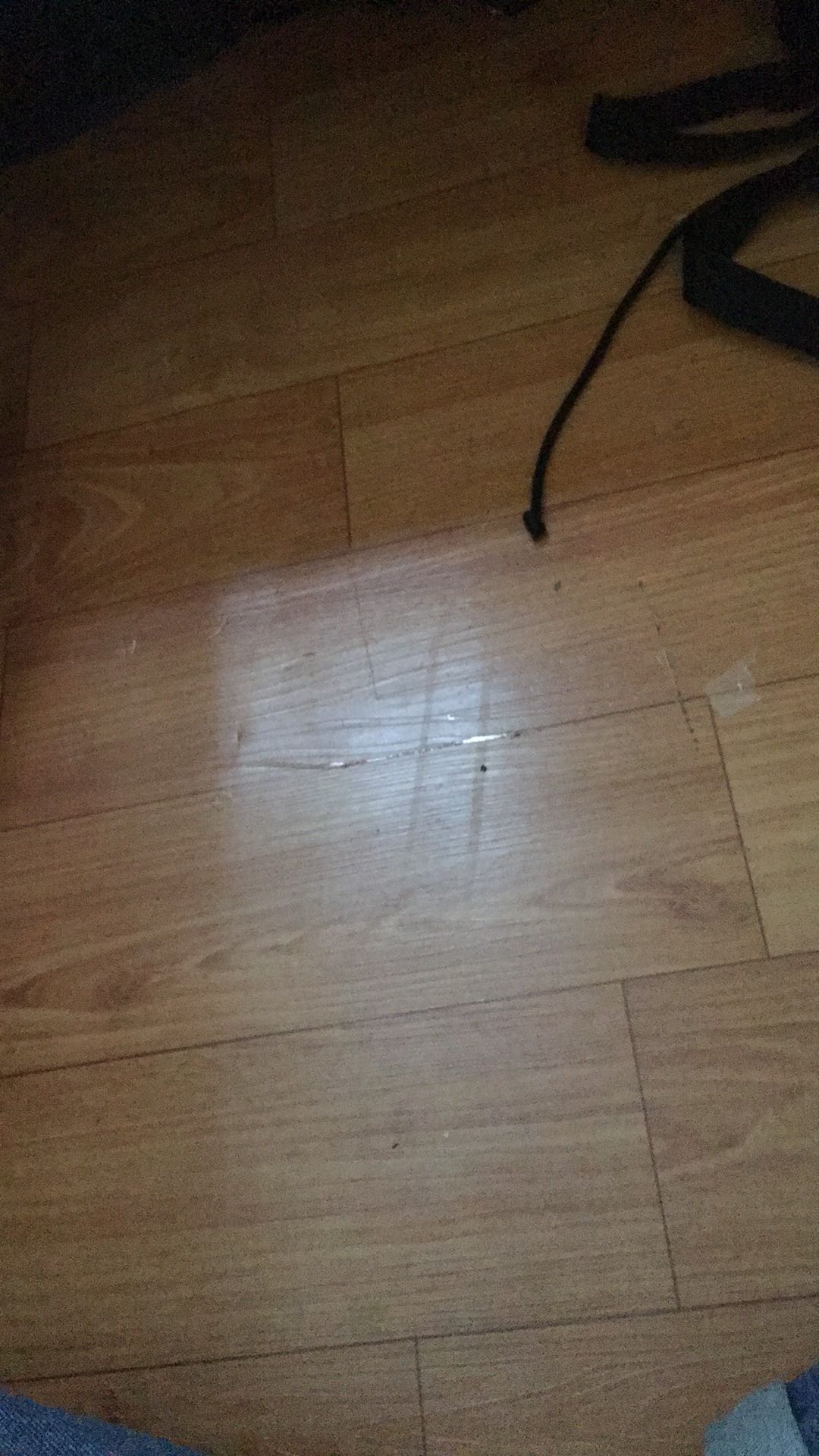 Baking Pan Orchid 22cm (4 Telur)