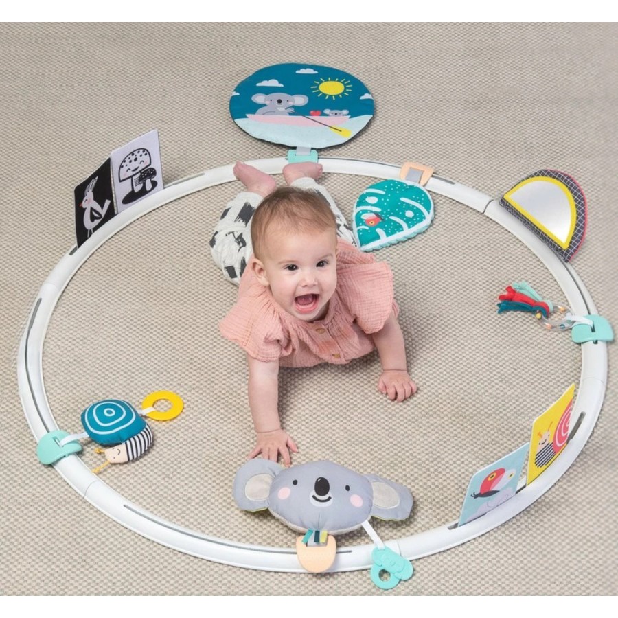 Taf Toys All Around Me Activity Hoop