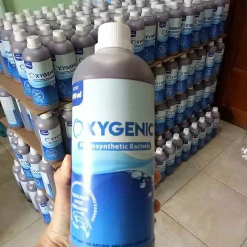 Oxygenic Probiotik/ Bakteri Starter Kolam