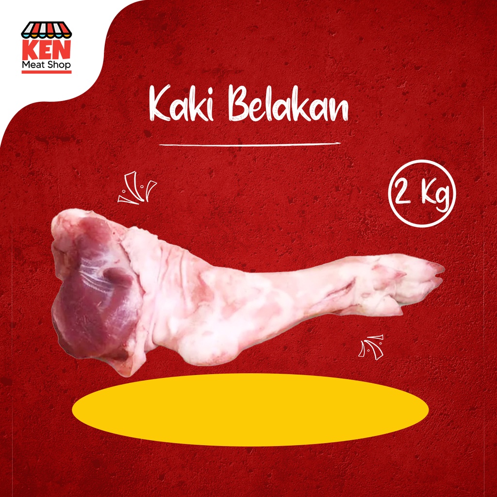 

Kaki Belakang Babi