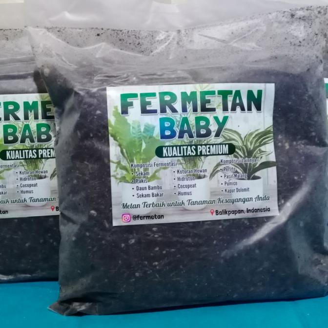 

BOOM SALE FERMENTAN BABY