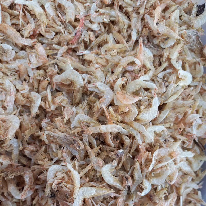 

Udang Papai Jagung 500gr