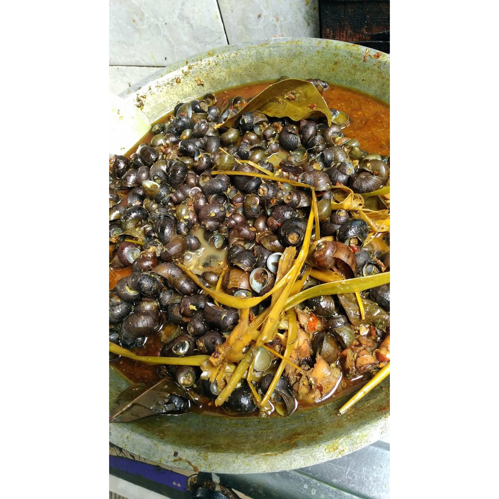

MAKTUTUT