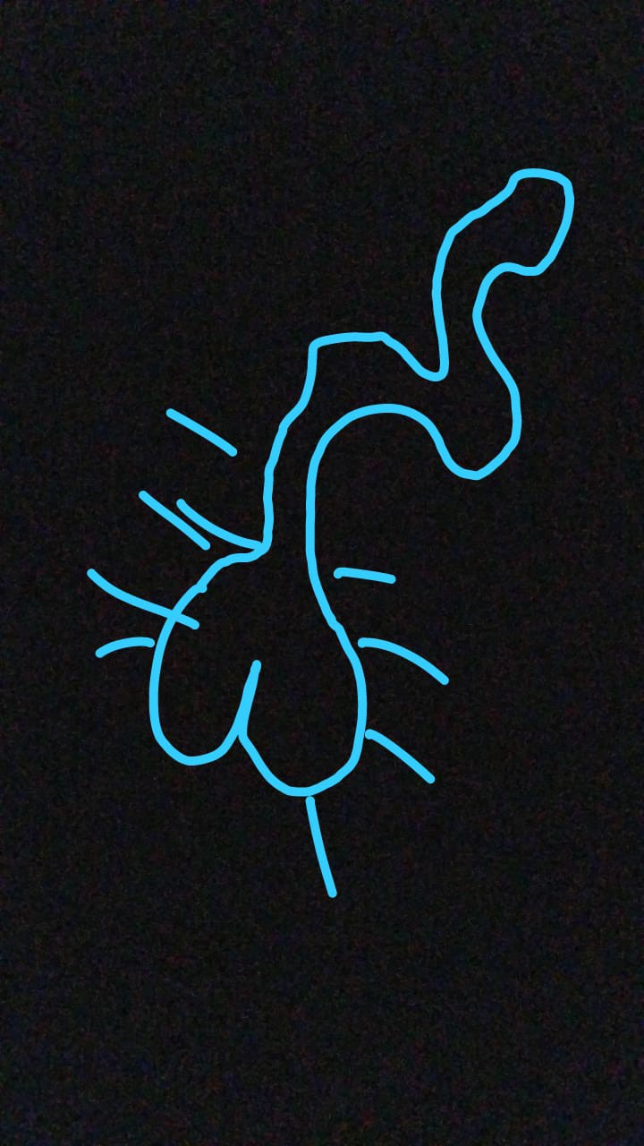 Kemeja Batik Pria Lengan Panjang Batik Pekalongan