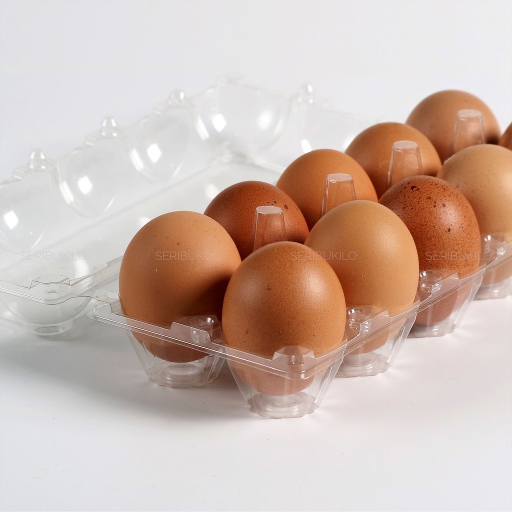 Tray Telur / Tray Egg 10 Telur - Dengan Pengunci / Lock