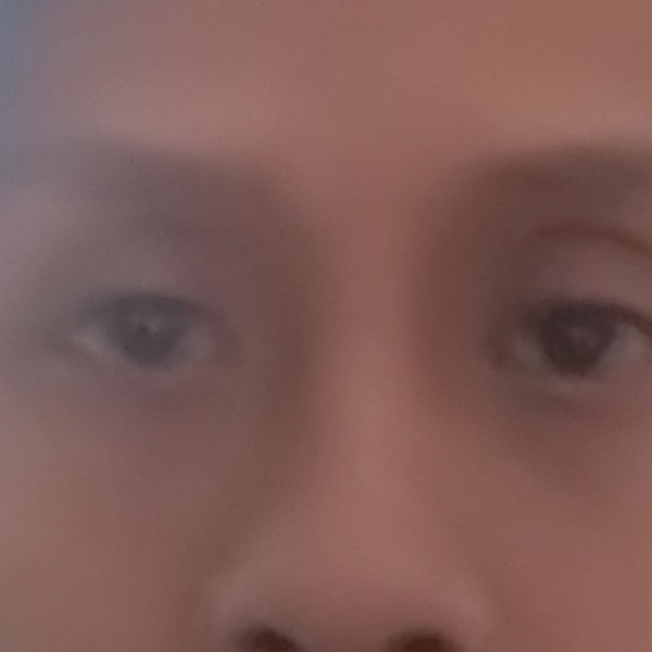 b_eko_p