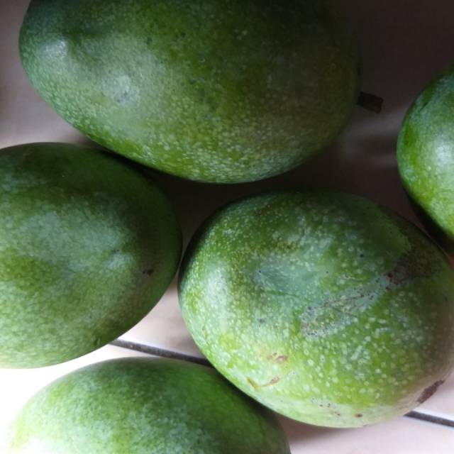 

Mangga manalagi