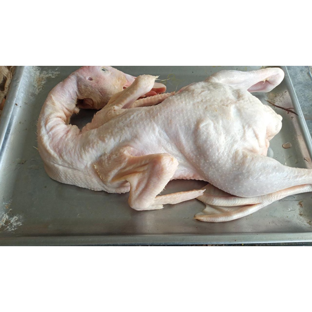 

bebek peking frozen 1.2kg utuh/daging bebek/bebek frozen/duck/bebek murah