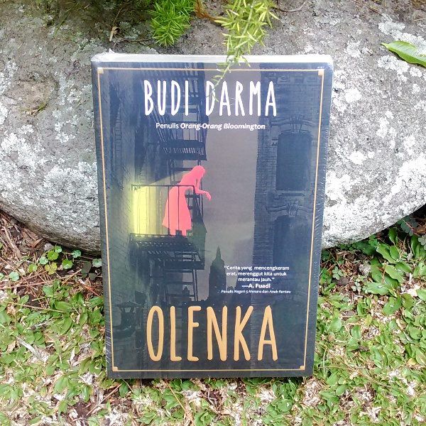 Buku Novel : Olenka - Budi Darma - Mizan