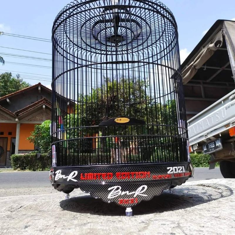 sangkar murai batu BnR limited edition 3D