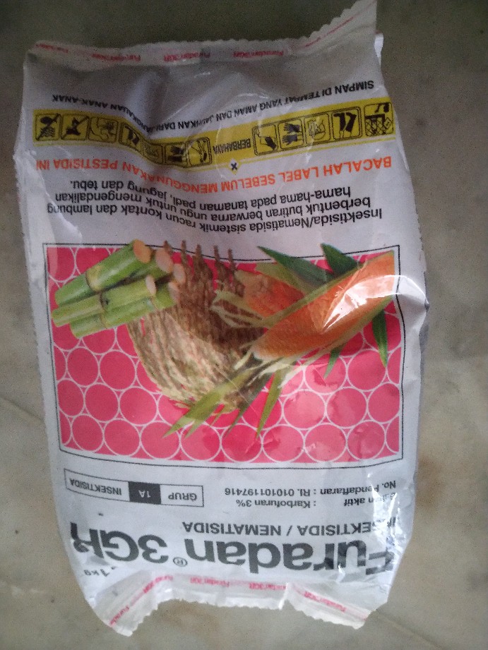 Insektisida Furadan 3gr (1kg) Untuk Mengendalikan Hama