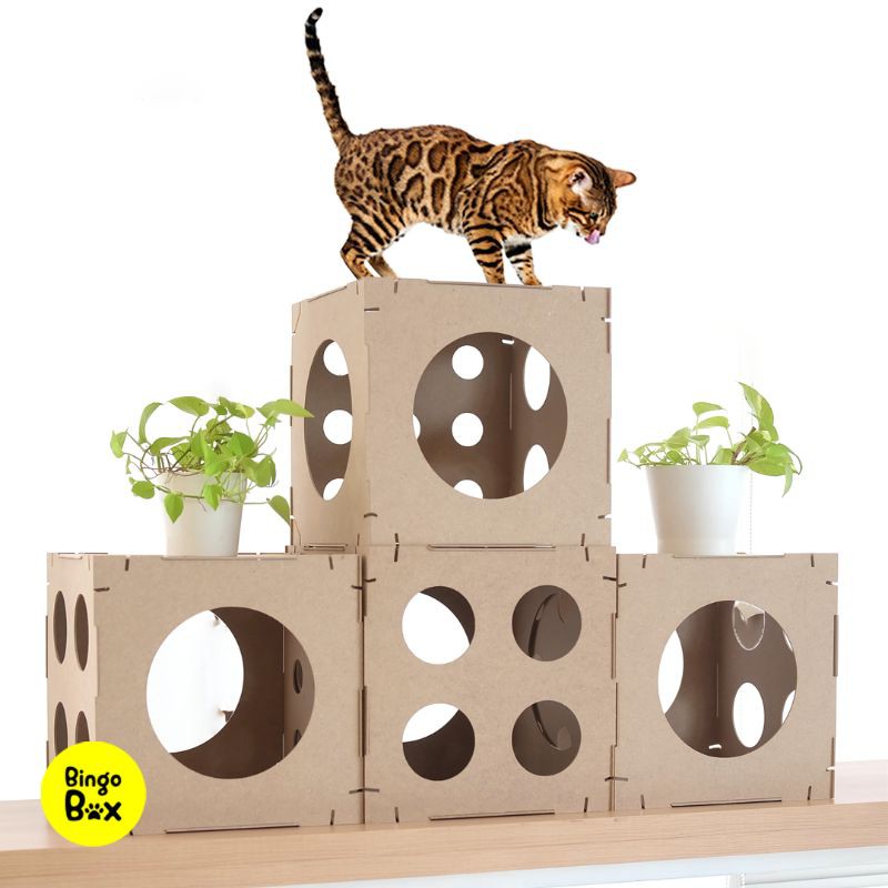 Bingo Box (Kandang kucing, Cat Playground, Istana Kucing, Rumah 
