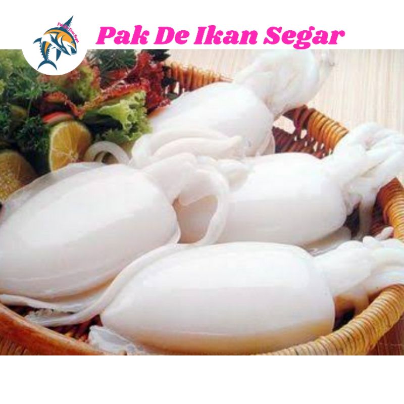 

Cumi Sotong Segar 1 kg.