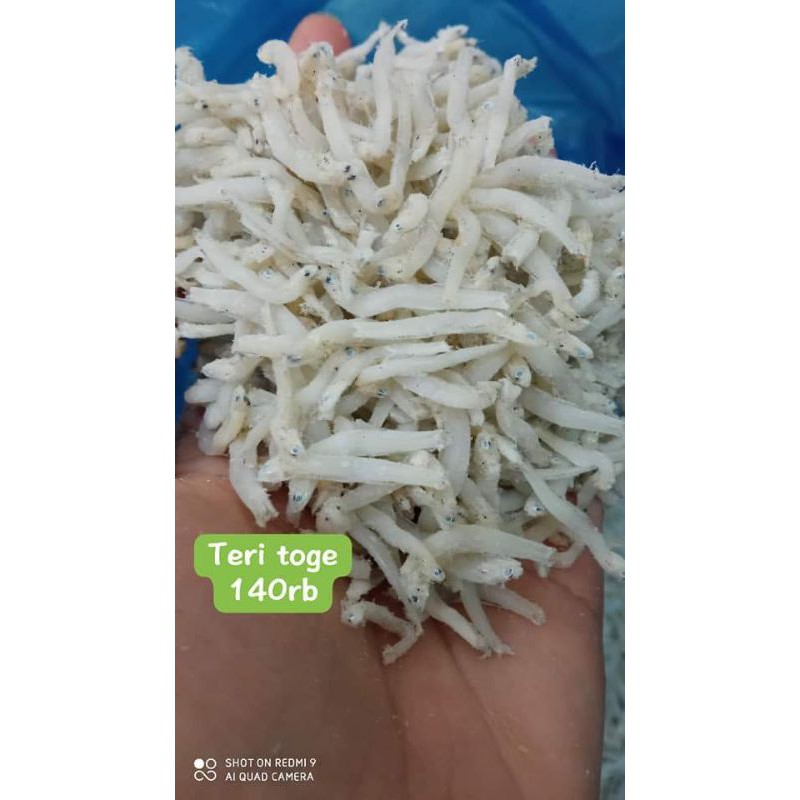 

ikan teri toge/1000gr