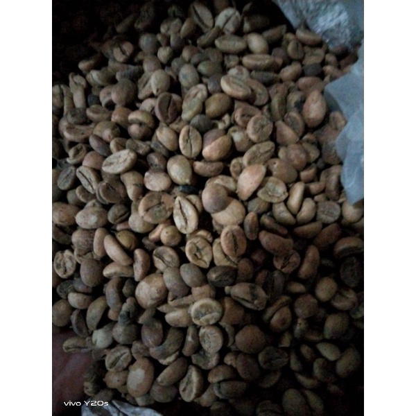 

kopi robusta gunung muria