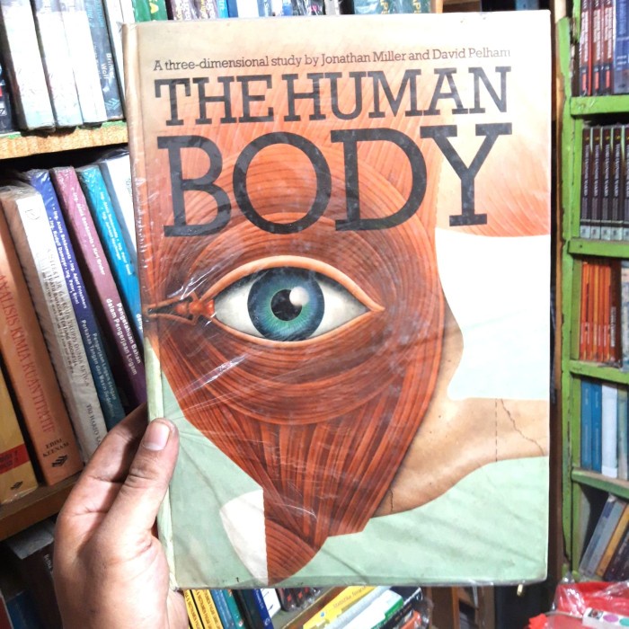 The Human Body