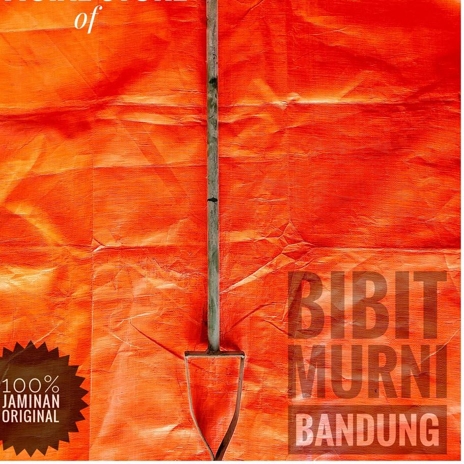 [PROMO S0B96] ALAT BOR BIOPORI BIO PORI PELUBANG TANAH ALAT GALI BOR TANGAN MANUAL Best