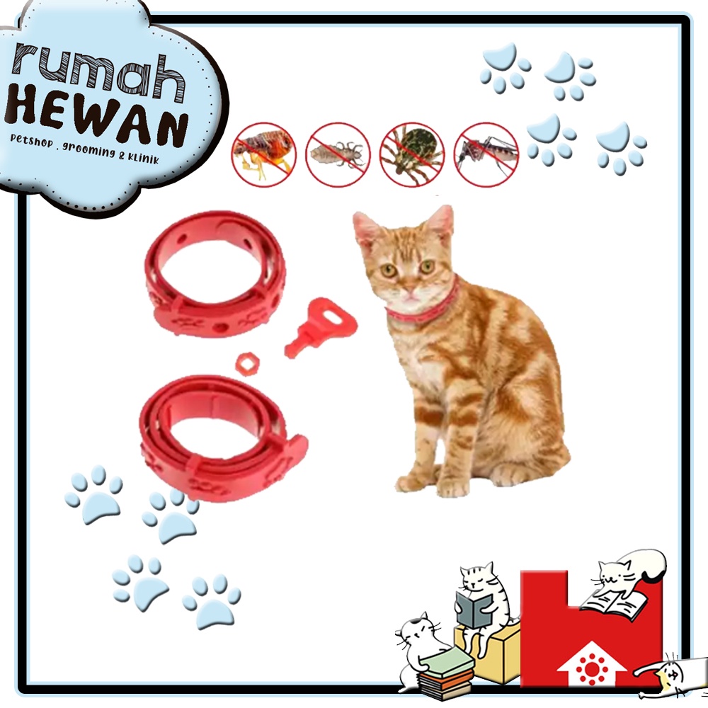 KALUNG ANTI KUTU KUCING - Kalung Obat Anti Kutu Kucing Kelinci Anjing Musang Flea Tick Cat Kitten