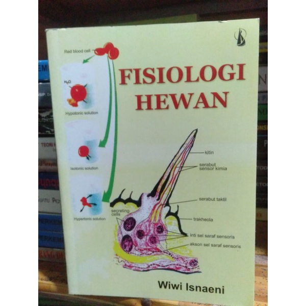 

Fisiologi Hewan