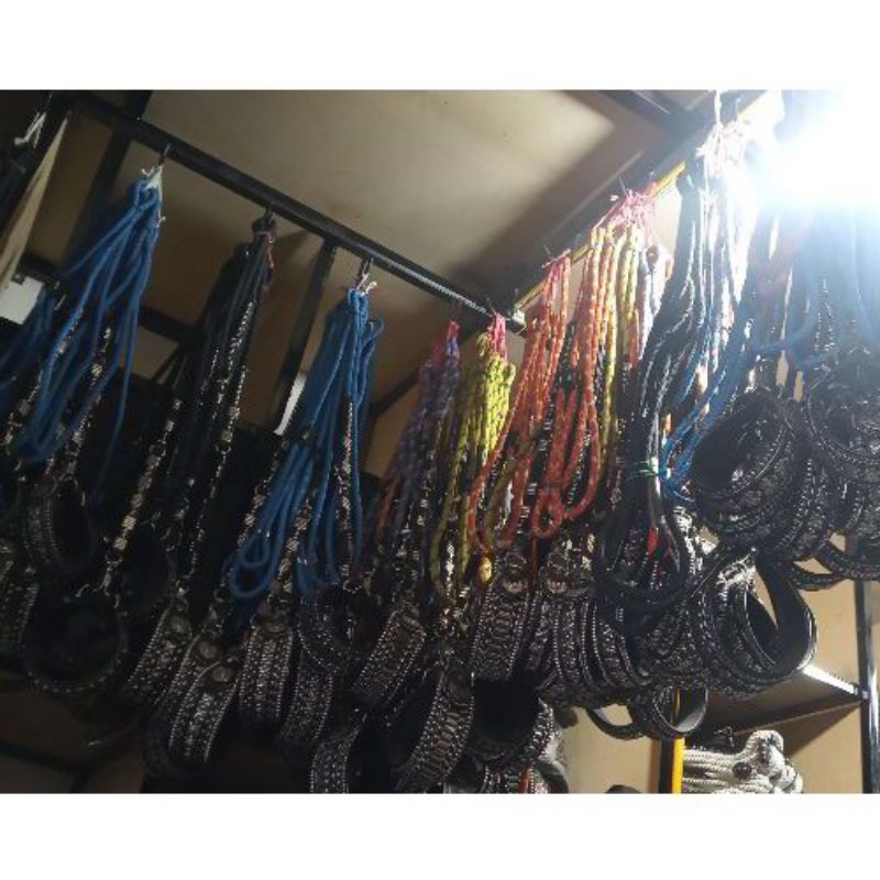 Leather Dog Collar and Leash - Tali Kala Petik Otomatis sambung