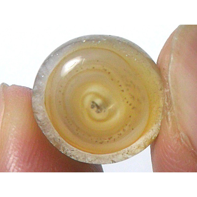 AG108 Round Cabochon 9ct 14mm Golden Brown White 'Greek Evil Eye' Picture Agate Natural Lucky Charm