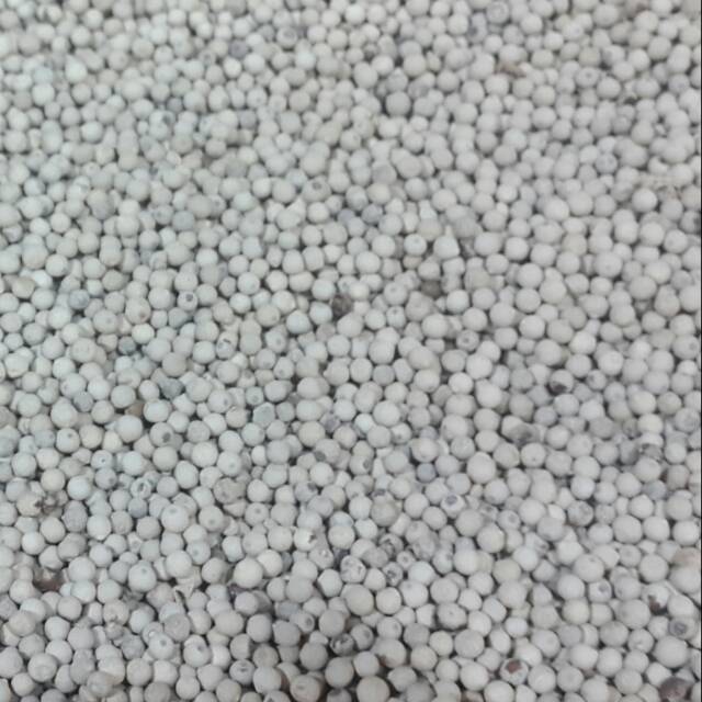 

MERICA PUTIH / LADA PUTIH 100 Gr