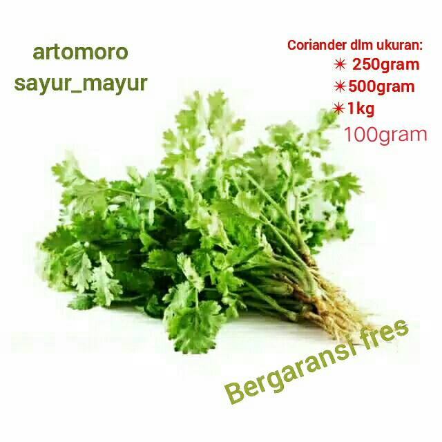 

Daun ketumbar/ daun wansuy// daun coriander// daun cilantro FRES