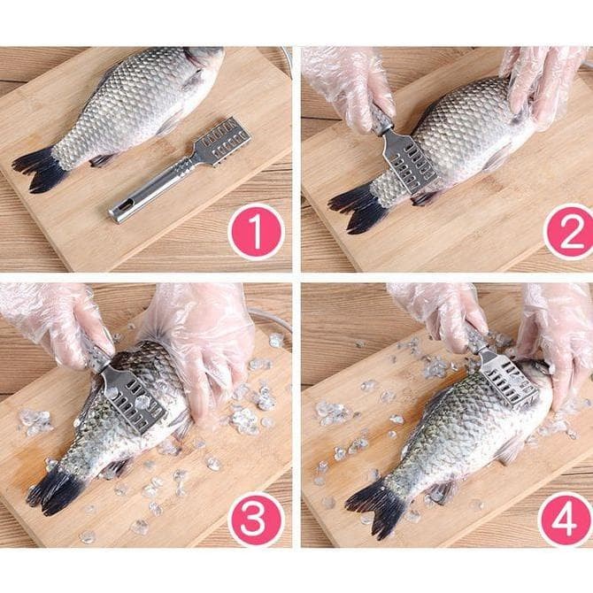 Alat Pembersih Sisik Ikan Bahan Stainless Steel Alat Pengupas Kerokan Sisik Ikan Praktis