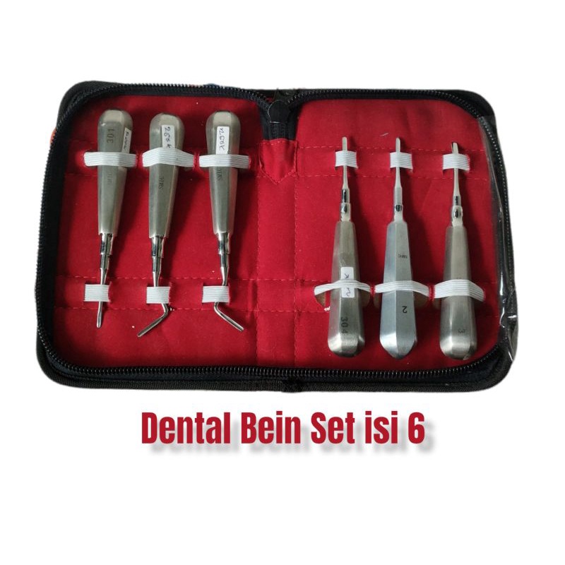 DENTAL CRYER ROOT ELEVATOR / BEIN LOXATOR