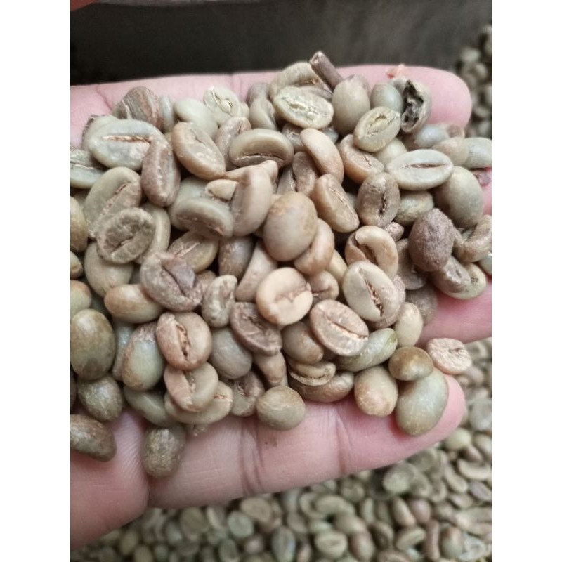 Kopi Biji Robusta Temanggung Green Bean Robusta Kopi Mentah Siap Sangrai Bahan Baku Kopi Bubuk