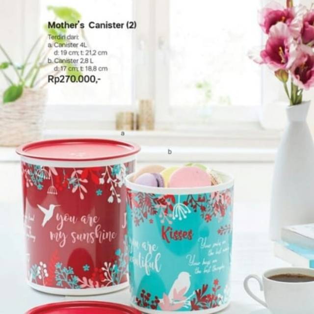 Mother's Canister Tupperware