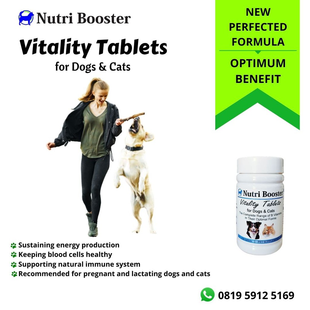Vitamin Anjing Vitality Tablet