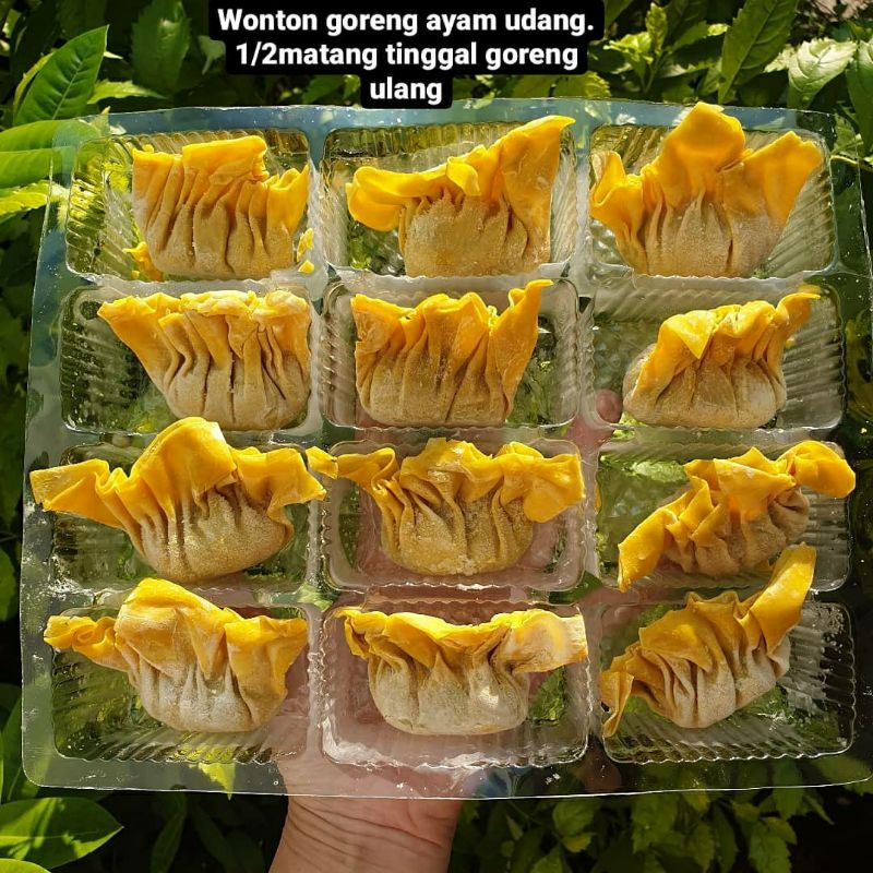 

PANGSIT GORENG AYAM UDANG 1/2 MATANG