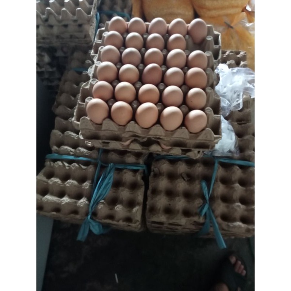 Telur 1kg