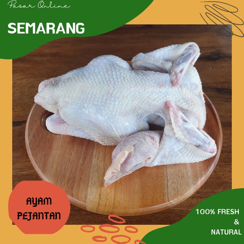 

Ayam Pejantan / Ayam 1 Ekor / Daging Ayam Segar dan Fresh Semarang Murah / Grosir Semarang Termurah