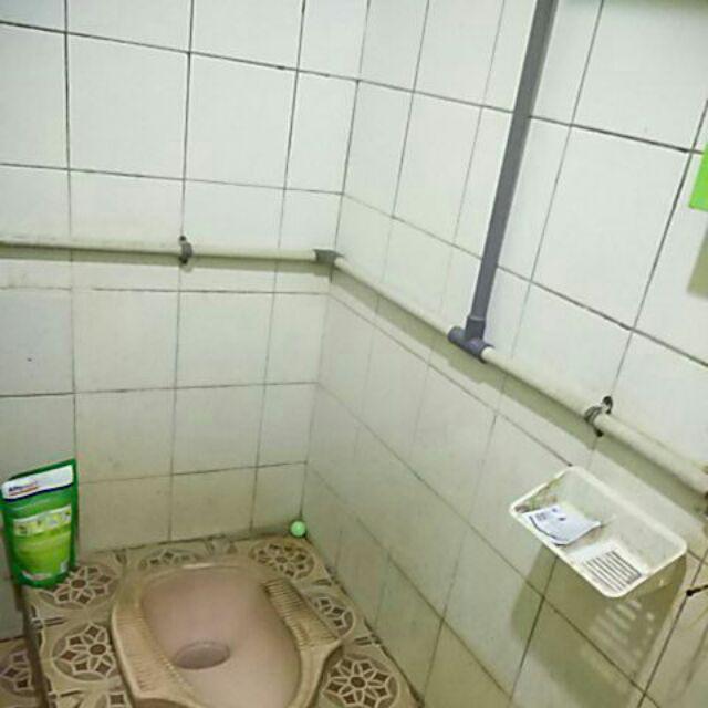 Kapur Barus Swallow Toilet Colour Ball 200 Gram