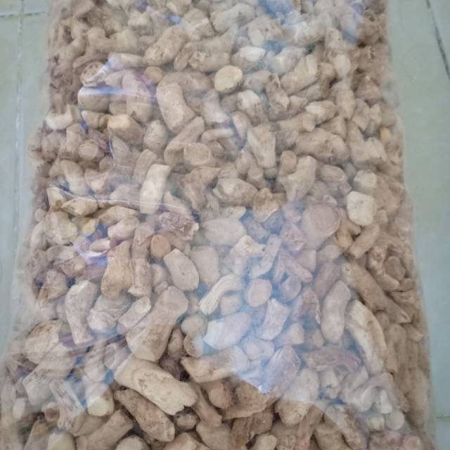 

Kaki jamur untuk masak vegetarian