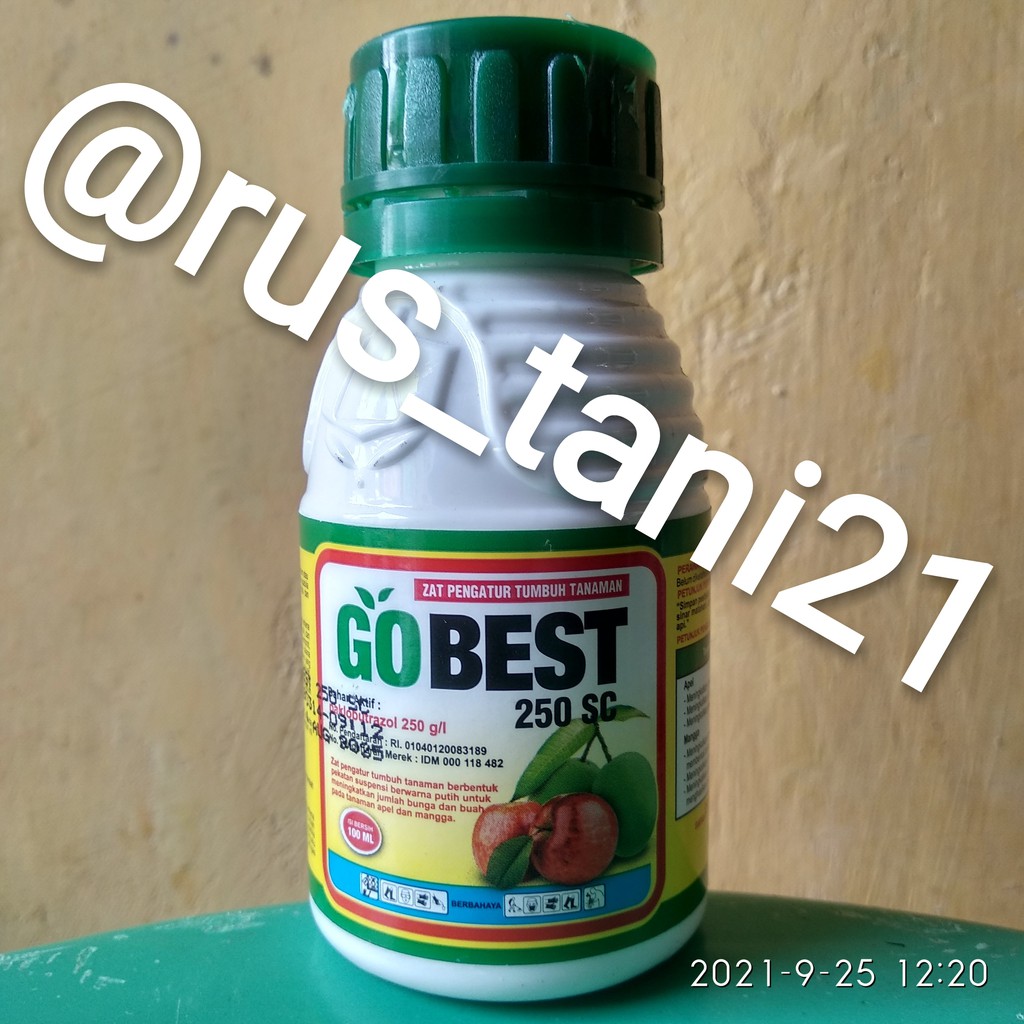 ZPT Tanaman GOBEST Bahan aktif : Paclobutrazol 250g/l 100ml