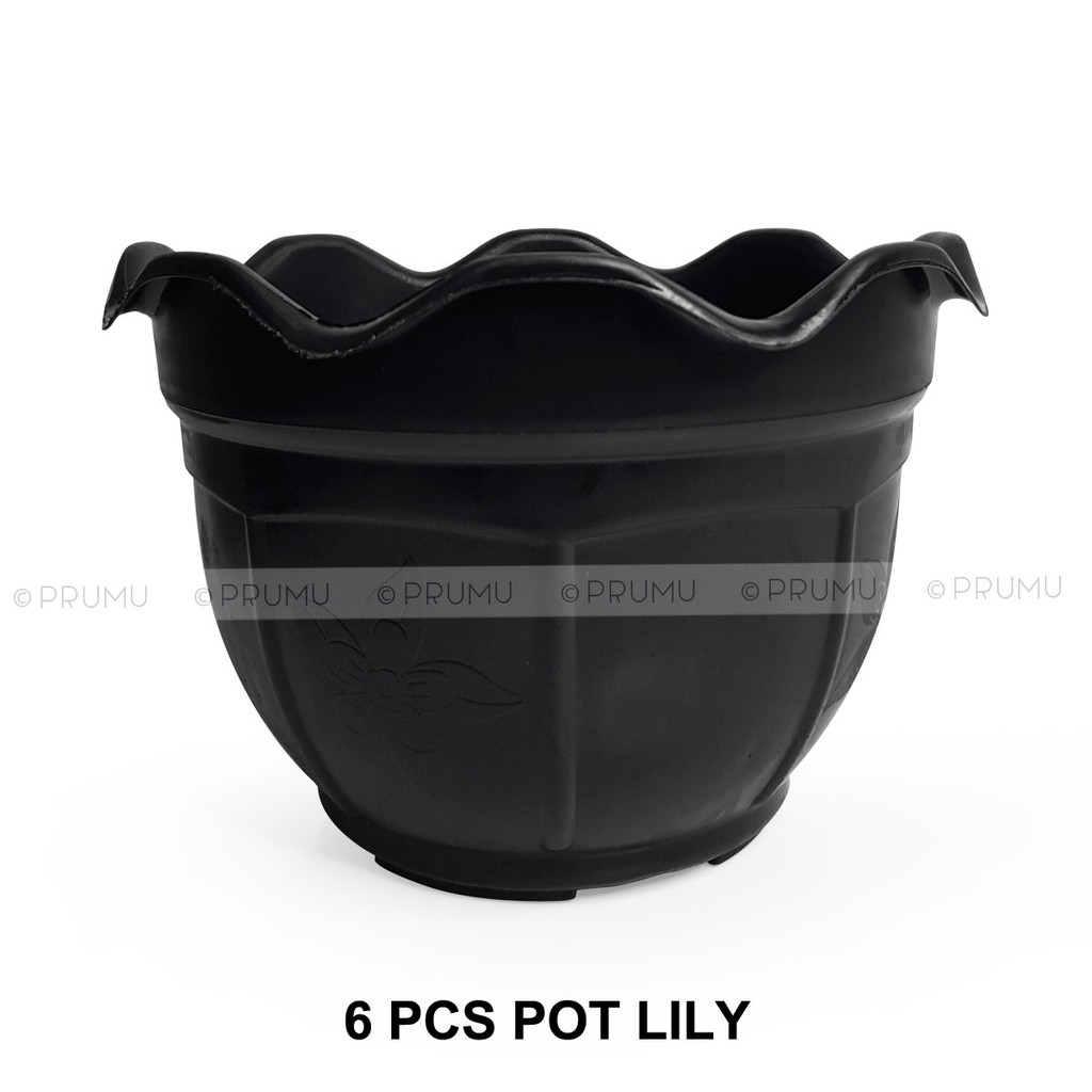 Grosir Pot Bunga 25 cm - Pot Tanaman Plastik - Pot Plastik - Pot Buah - Tabulampot - Clio Lily 25